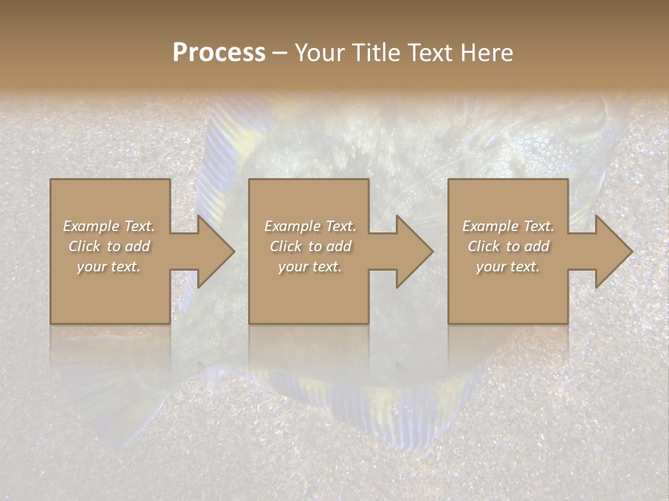 A Fish On The Sand With A Name Of Presentation PowerPoint Template