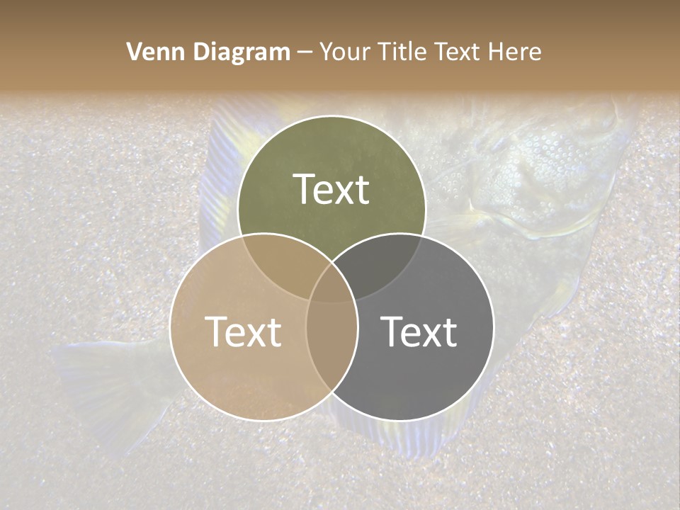 A Fish On The Sand With A Name Of Presentation PowerPoint Template