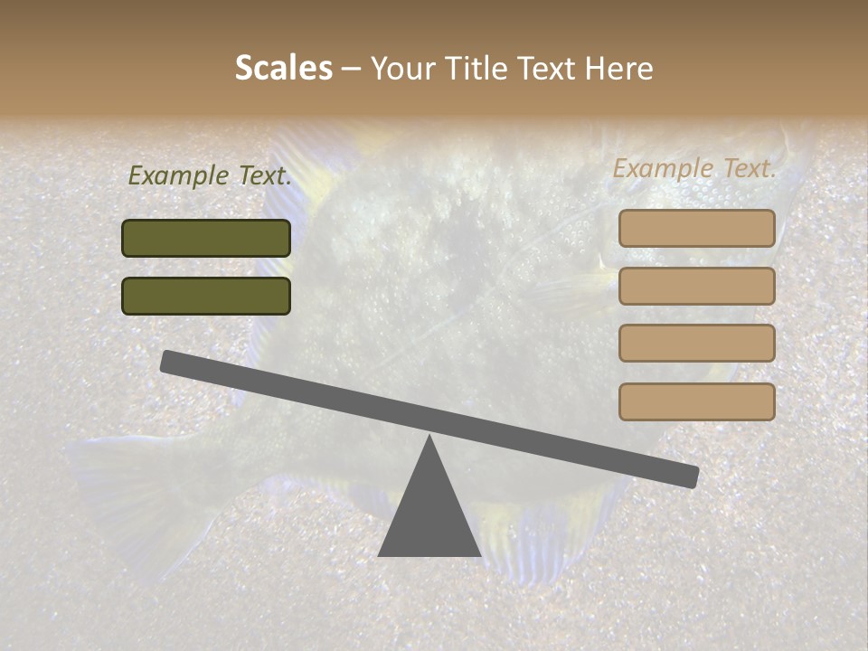 A Fish On The Sand With A Name Of Presentation PowerPoint Template