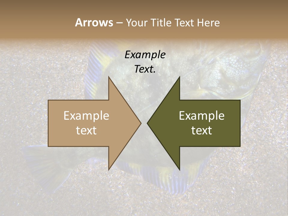 A Fish On The Sand With A Name Of Presentation PowerPoint Template