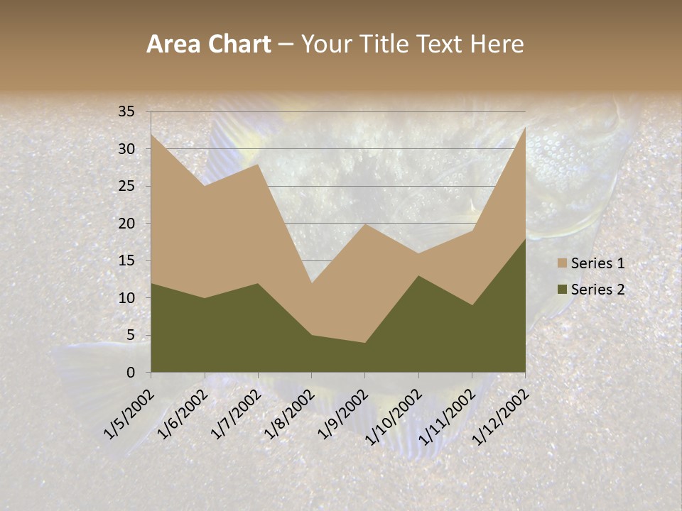 A Fish On The Sand With A Name Of Presentation PowerPoint Template