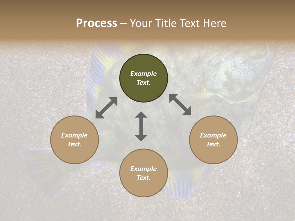 A Fish On The Sand With A Name Of Presentation PowerPoint Template