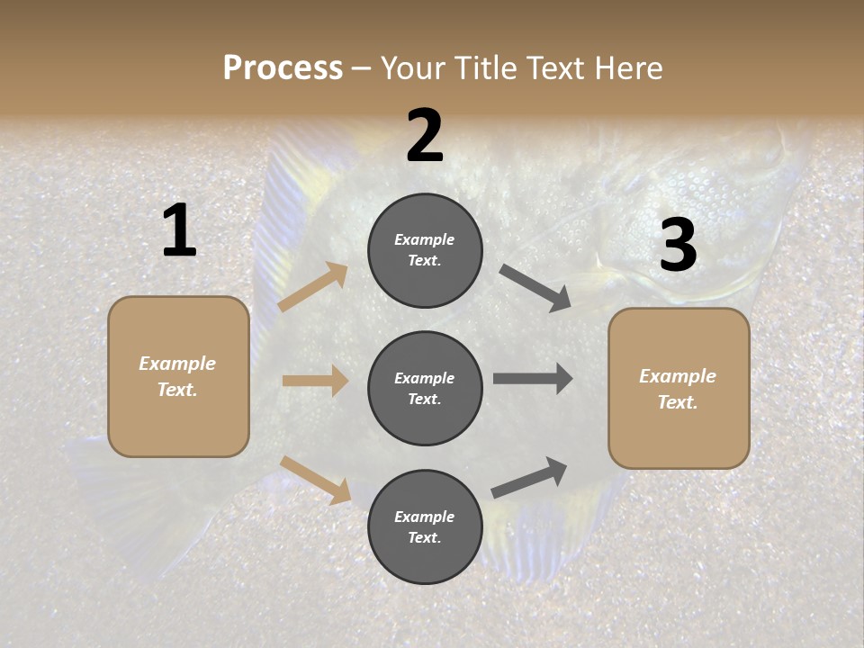 A Fish On The Sand With A Name Of Presentation PowerPoint Template