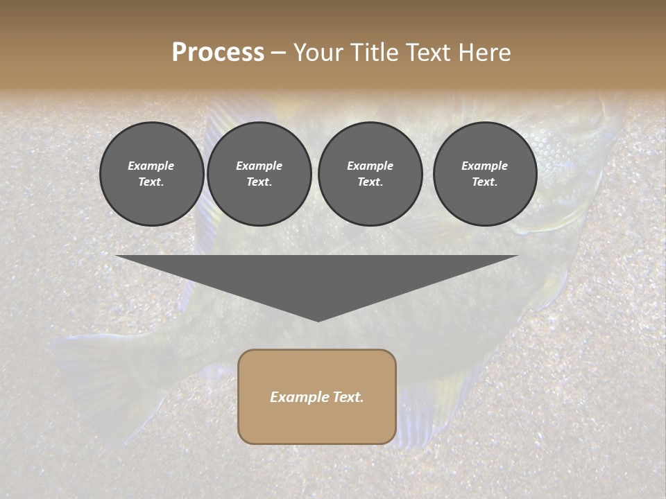 A Fish On The Sand With A Name Of Presentation PowerPoint Template