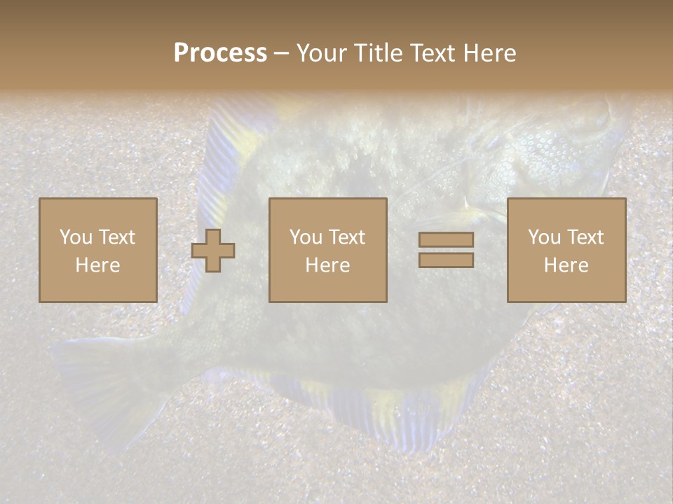 A Fish On The Sand With A Name Of Presentation PowerPoint Template