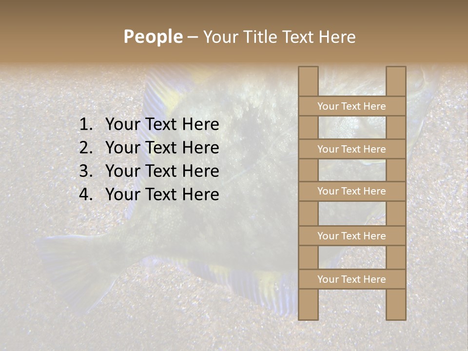 A Fish On The Sand With A Name Of Presentation PowerPoint Template