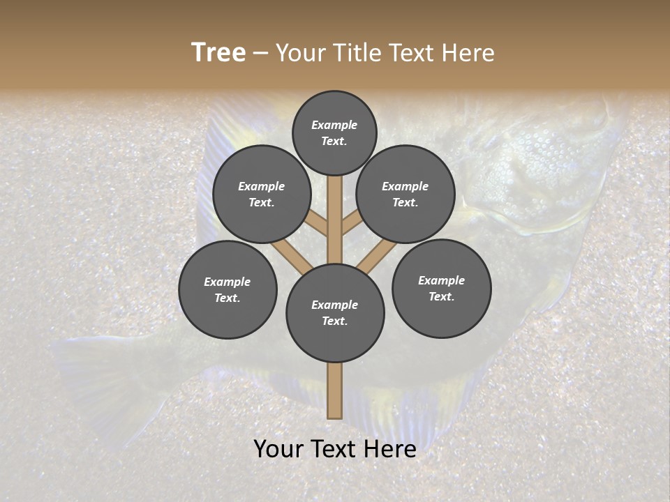 A Fish On The Sand With A Name Of Presentation PowerPoint Template