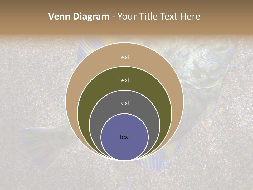 A Fish On The Sand With A Name Of Presentation PowerPoint Template