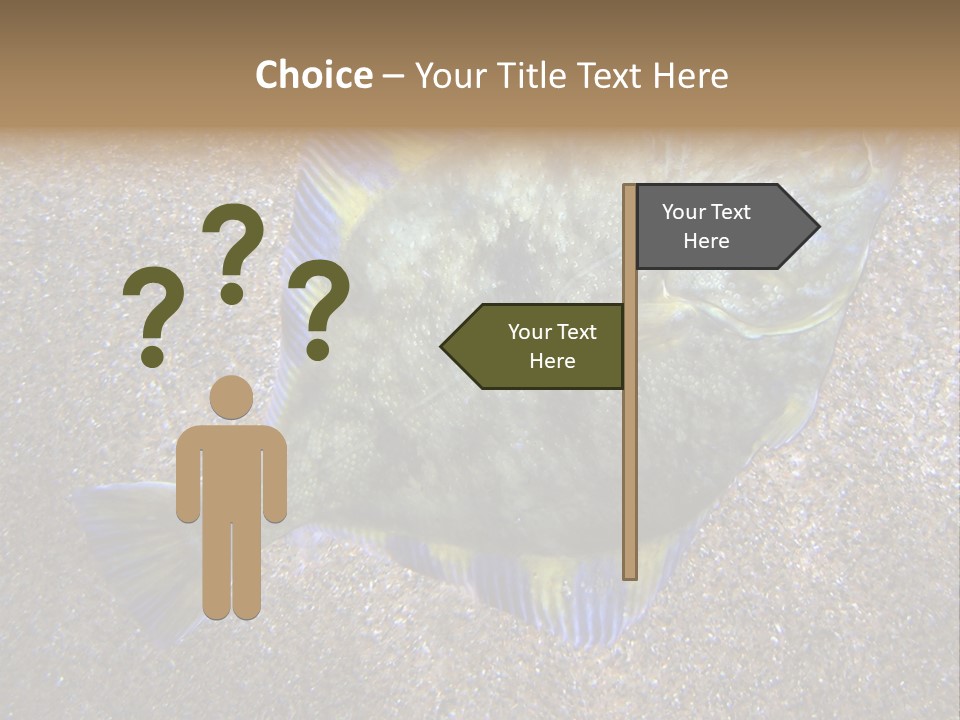 A Fish On The Sand With A Name Of Presentation PowerPoint Template