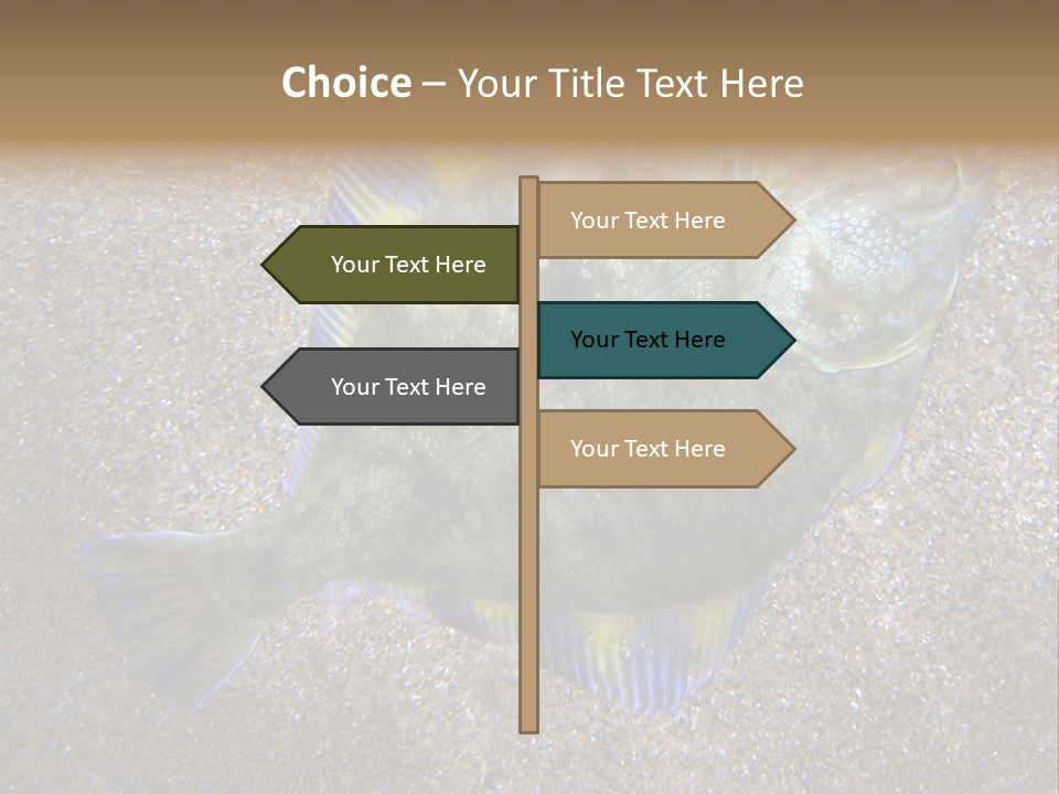 A Fish On The Sand With A Name Of Presentation PowerPoint Template