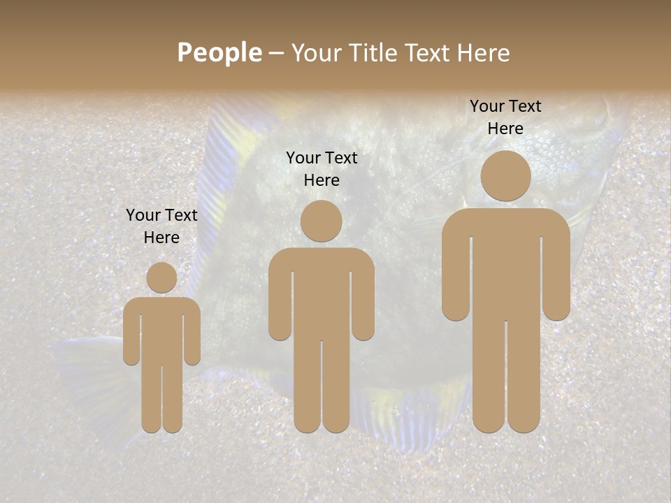 A Fish On The Sand With A Name Of Presentation PowerPoint Template