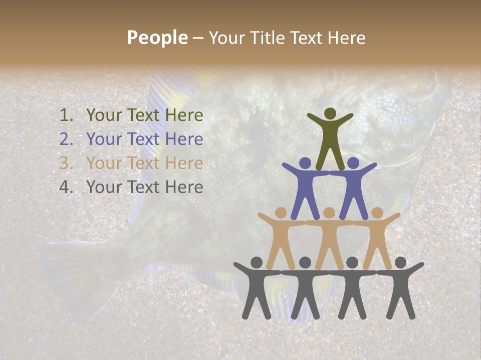 A Fish On The Sand With A Name Of Presentation PowerPoint Template