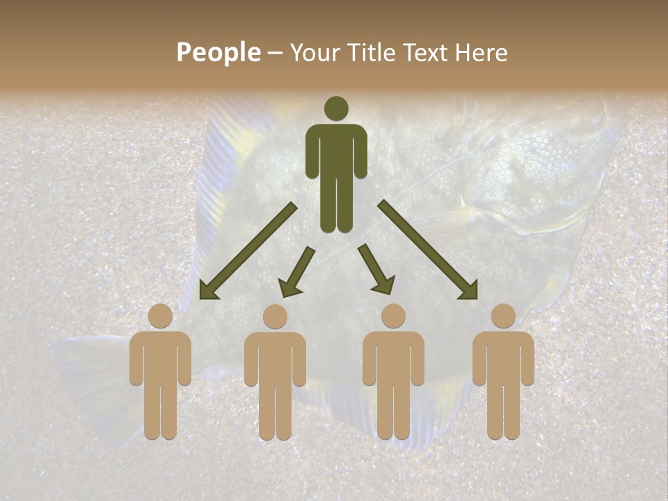 A Fish On The Sand With A Name Of Presentation PowerPoint Template