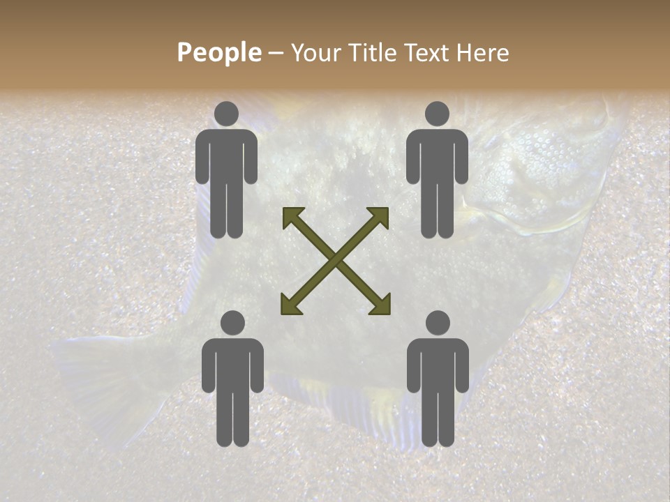 A Fish On The Sand With A Name Of Presentation PowerPoint Template