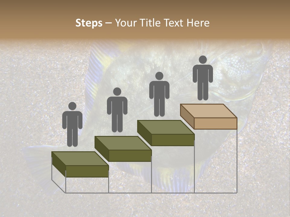 A Fish On The Sand With A Name Of Presentation PowerPoint Template