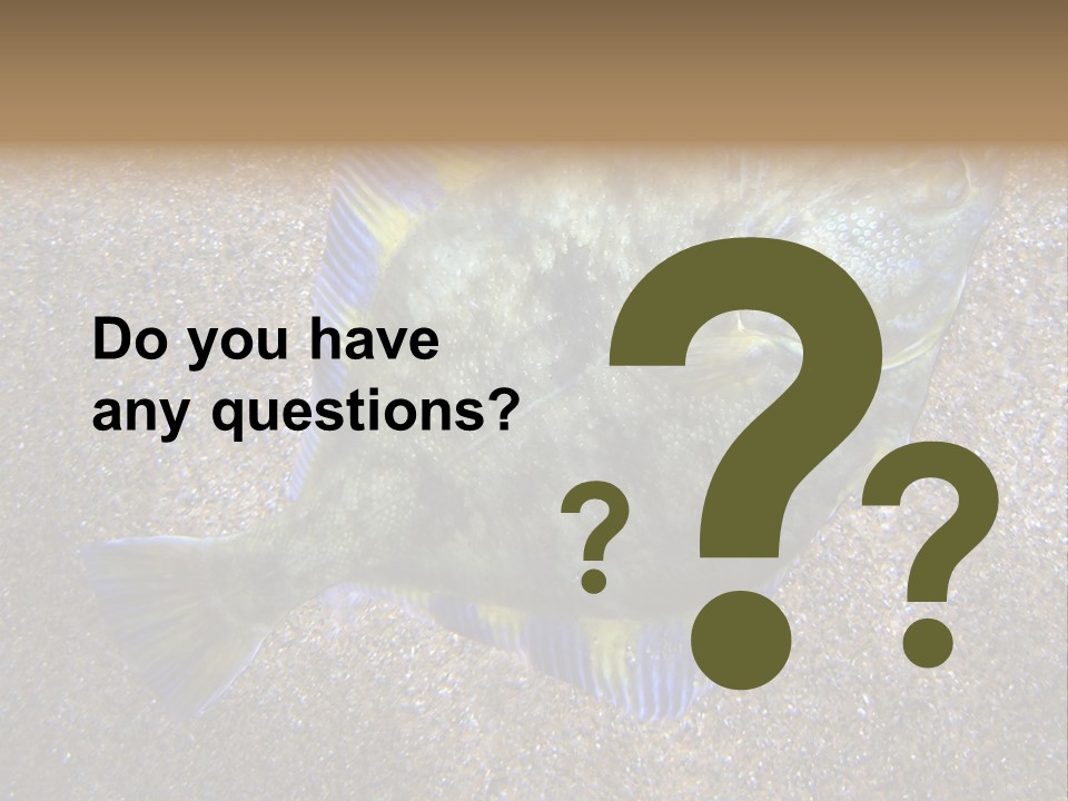 A Fish On The Sand With A Name Of Presentation PowerPoint Template