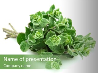 Closeup Flavoring Herbal PowerPoint Template