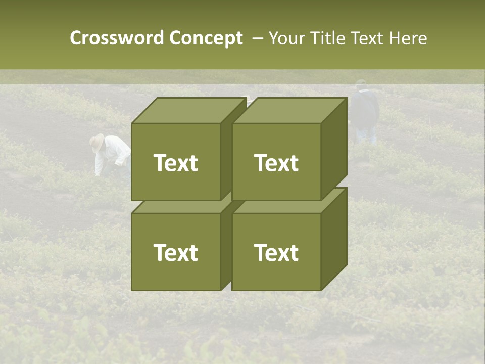 Businesses Laborers Grapes PowerPoint Template