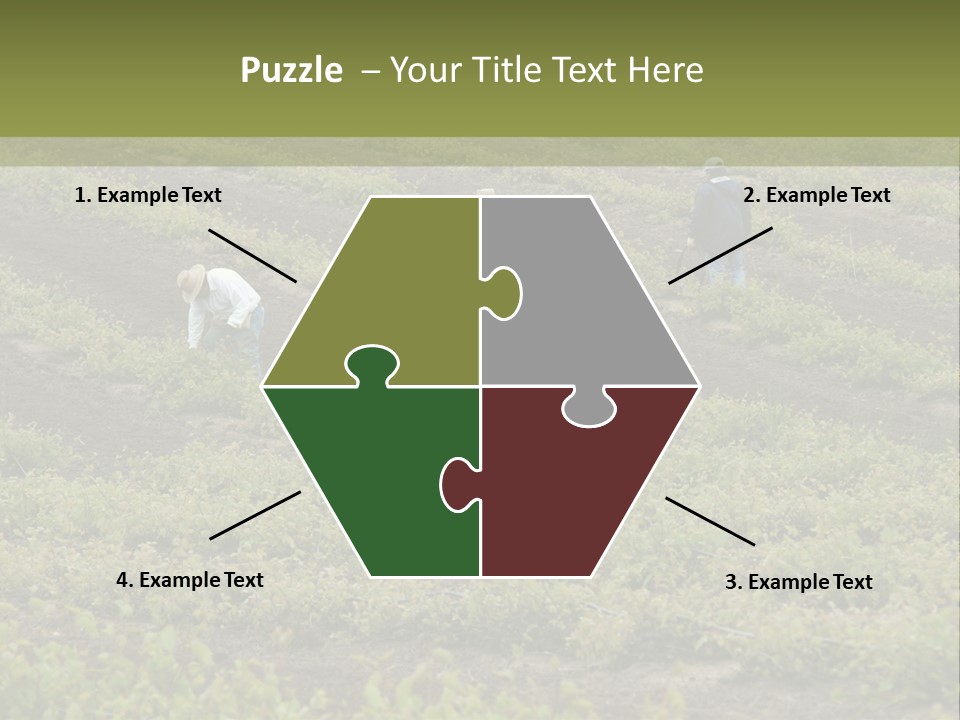 Businesses Laborers Grapes PowerPoint Template