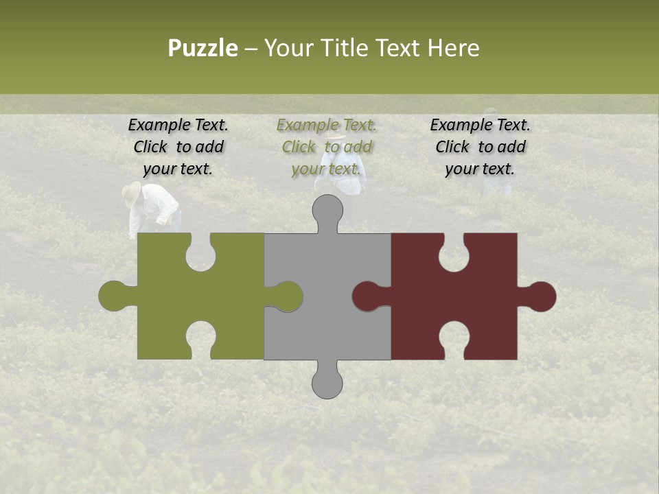 Businesses Laborers Grapes PowerPoint Template