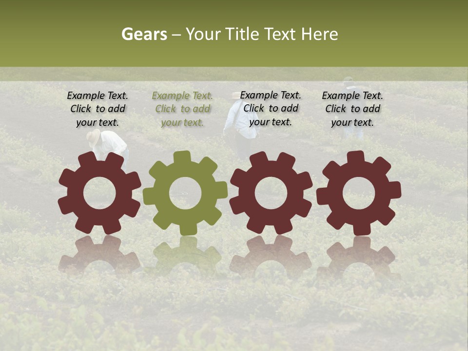 Businesses Laborers Grapes PowerPoint Template