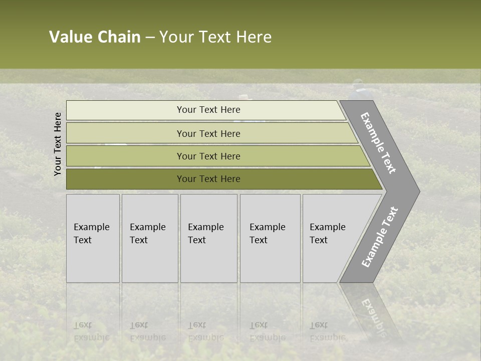 Businesses Laborers Grapes PowerPoint Template
