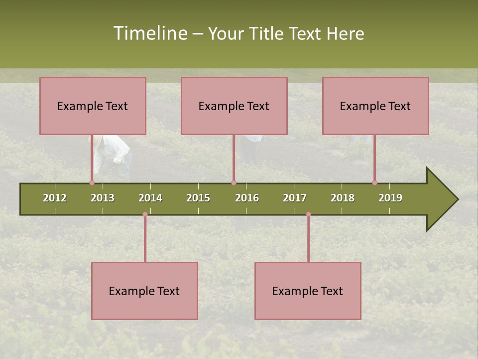 Businesses Laborers Grapes PowerPoint Template