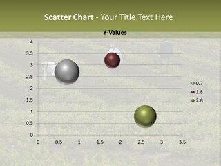 Businesses Laborers Grapes PowerPoint Template