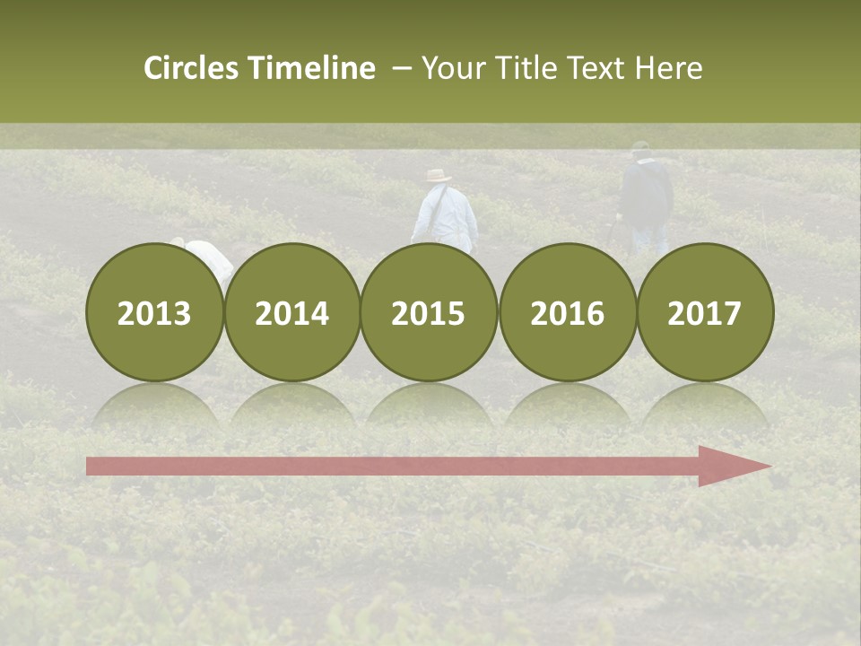 Businesses Laborers Grapes PowerPoint Template