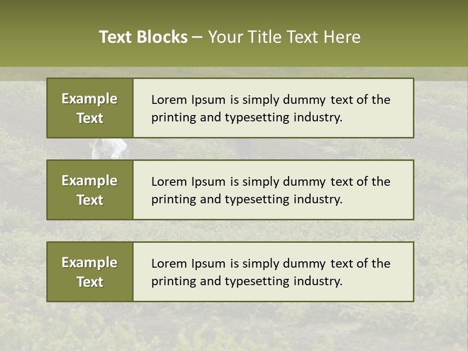 Businesses Laborers Grapes PowerPoint Template