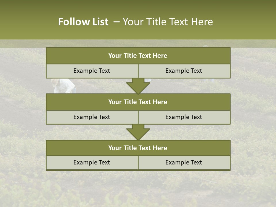 Businesses Laborers Grapes PowerPoint Template