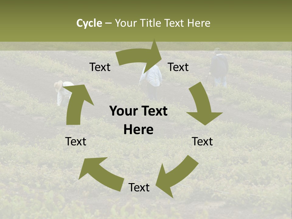 Businesses Laborers Grapes PowerPoint Template