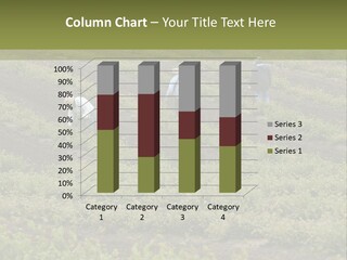 Businesses Laborers Grapes PowerPoint Template