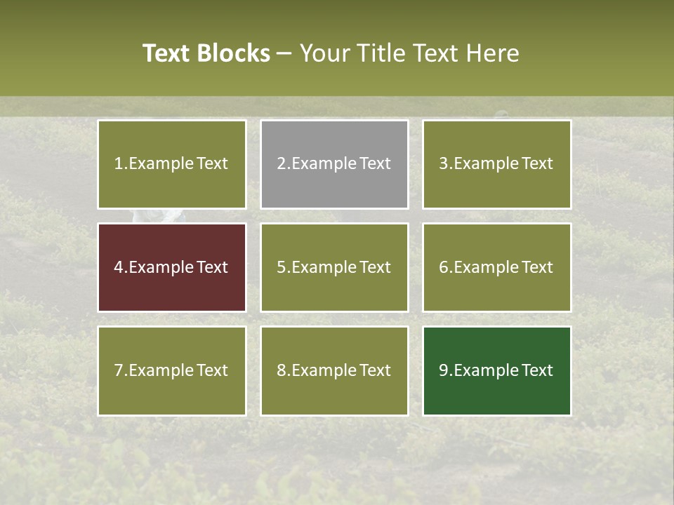 Businesses Laborers Grapes PowerPoint Template