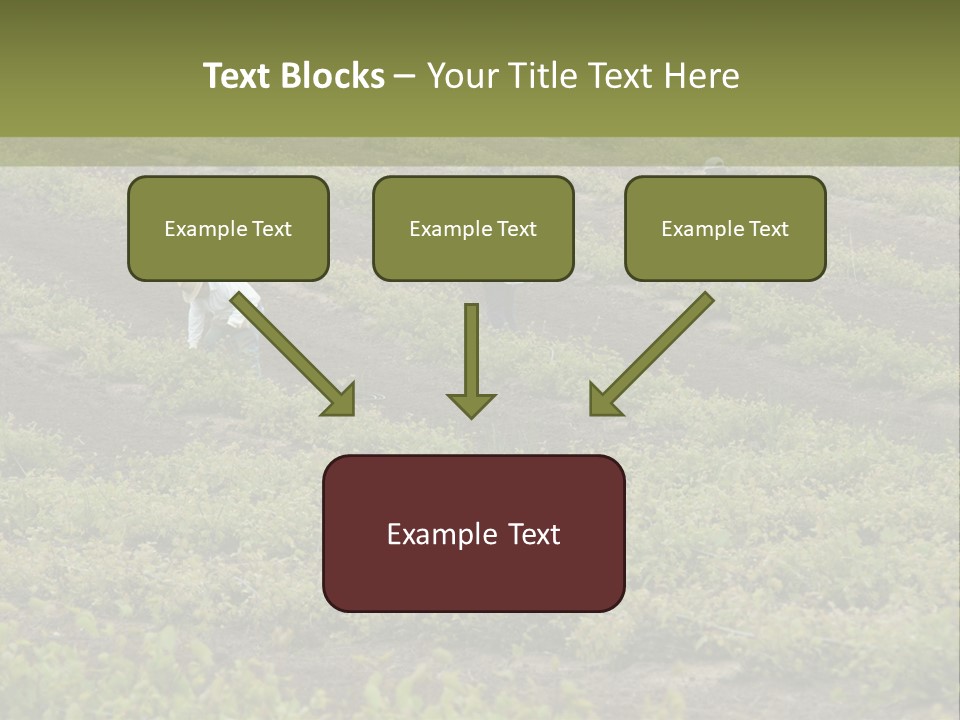 Businesses Laborers Grapes PowerPoint Template