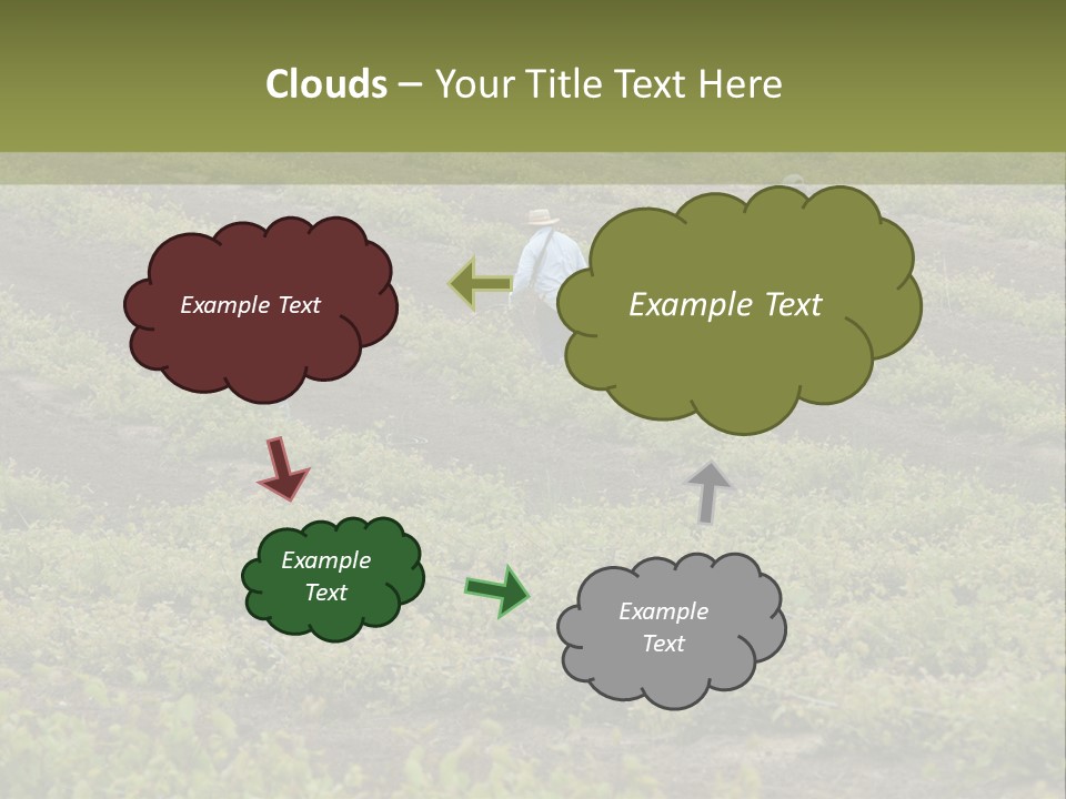Businesses Laborers Grapes PowerPoint Template