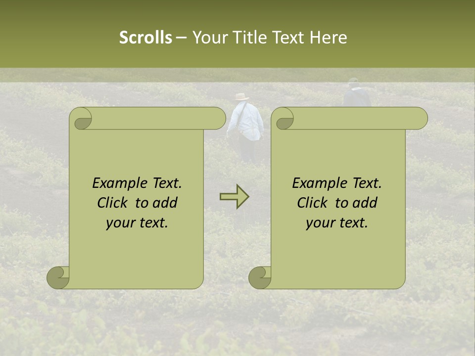 Businesses Laborers Grapes PowerPoint Template