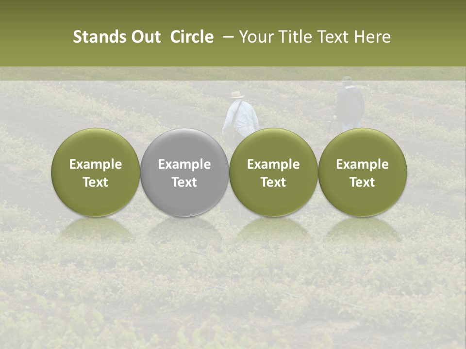 Businesses Laborers Grapes PowerPoint Template