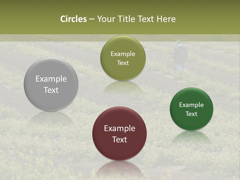 Businesses Laborers Grapes PowerPoint Template