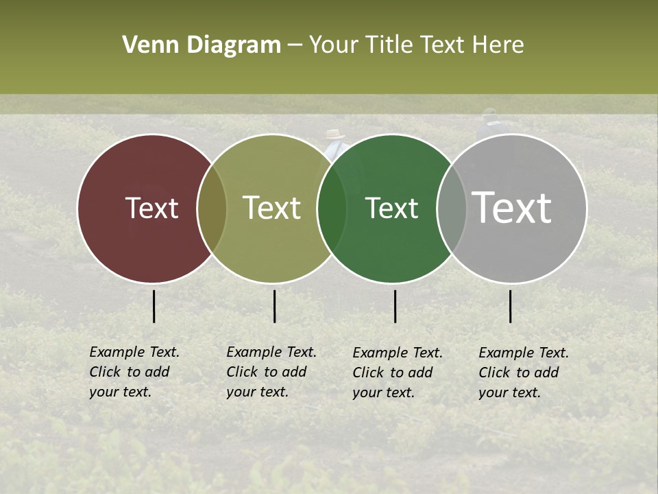 Businesses Laborers Grapes PowerPoint Template