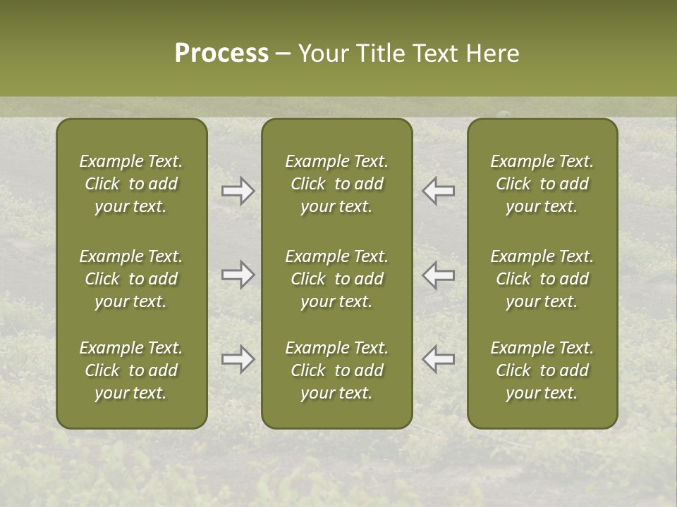 Businesses Laborers Grapes PowerPoint Template