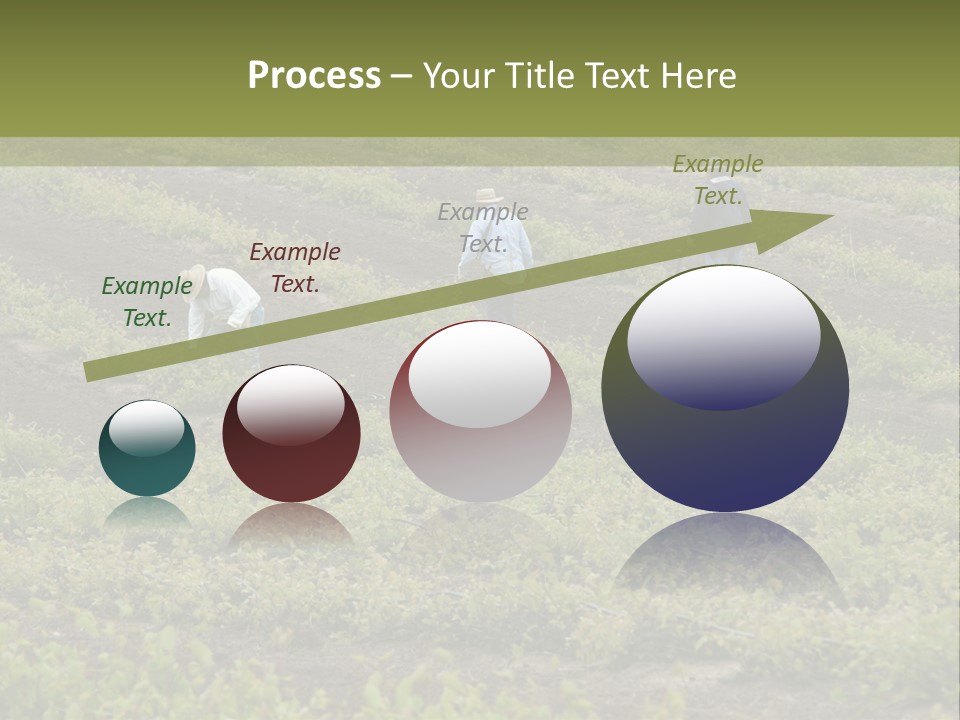 Businesses Laborers Grapes PowerPoint Template