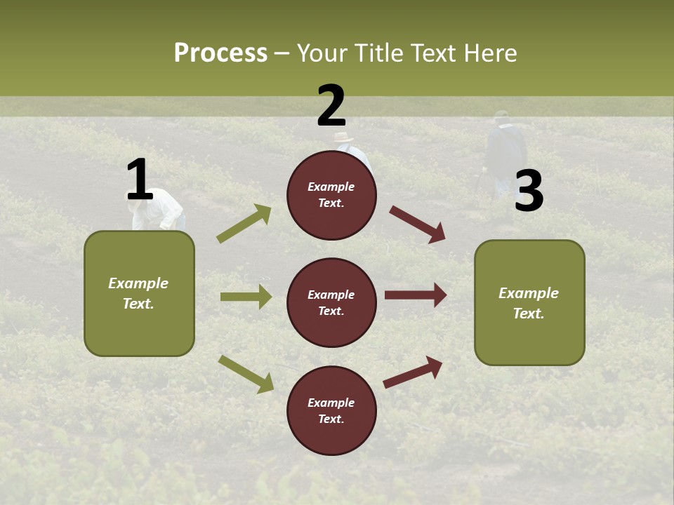 Businesses Laborers Grapes PowerPoint Template