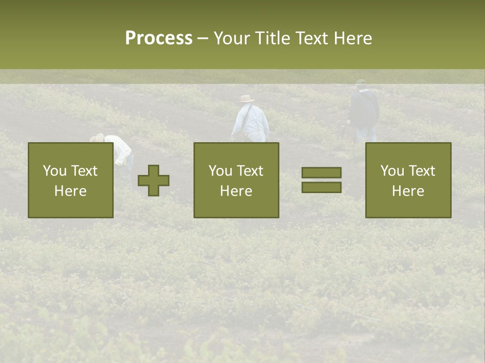 Businesses Laborers Grapes PowerPoint Template
