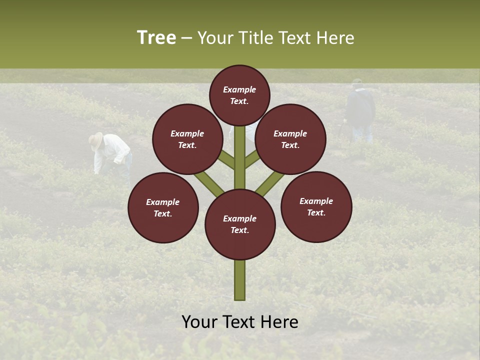 Businesses Laborers Grapes PowerPoint Template