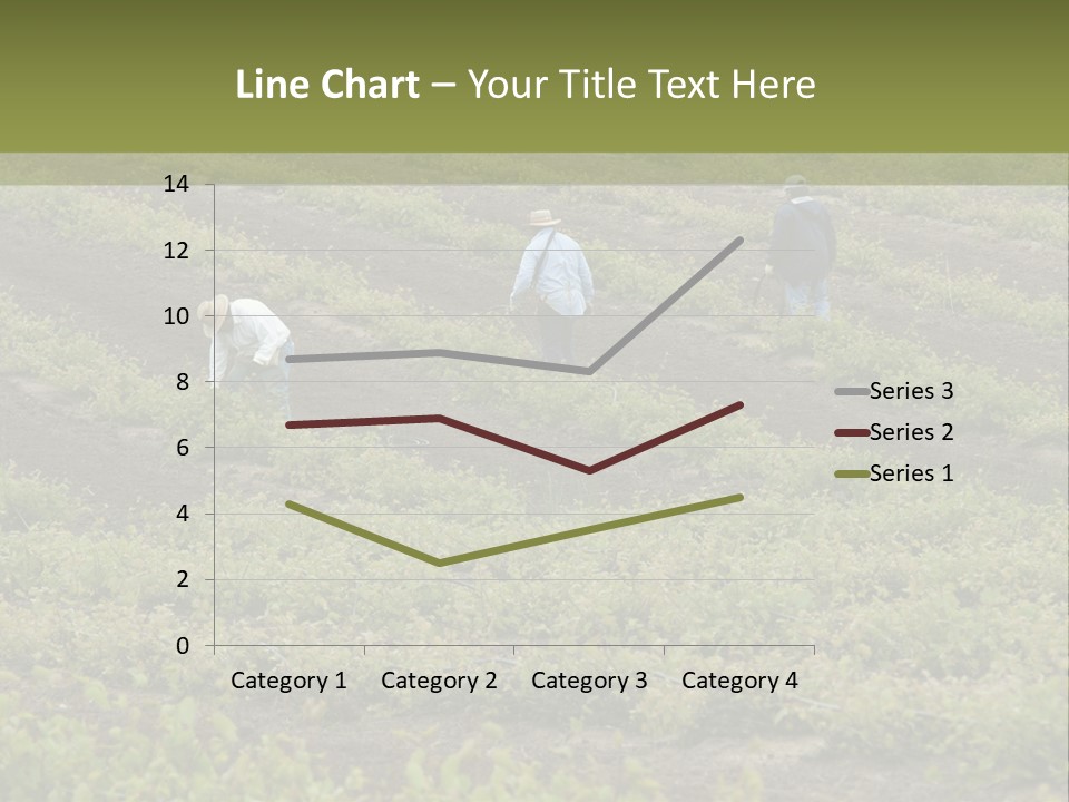 Businesses Laborers Grapes PowerPoint Template