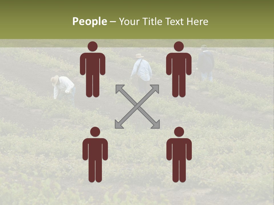 Businesses Laborers Grapes PowerPoint Template