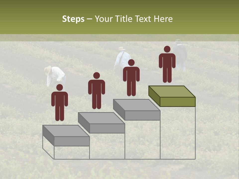 Businesses Laborers Grapes PowerPoint Template