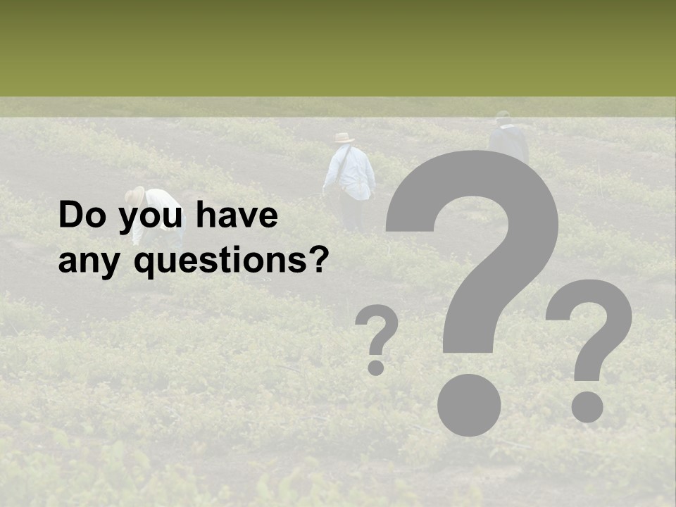 Businesses Laborers Grapes PowerPoint Template