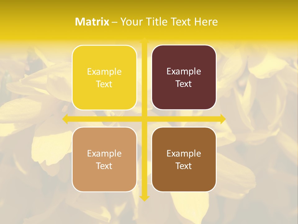 Beauty Twig Closeup PowerPoint Template